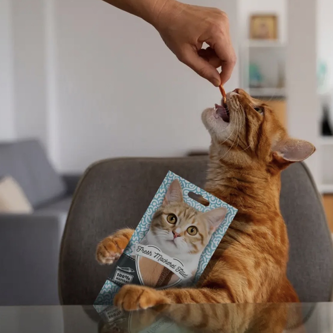 Filet de Maquereau frais 25g – Image 2