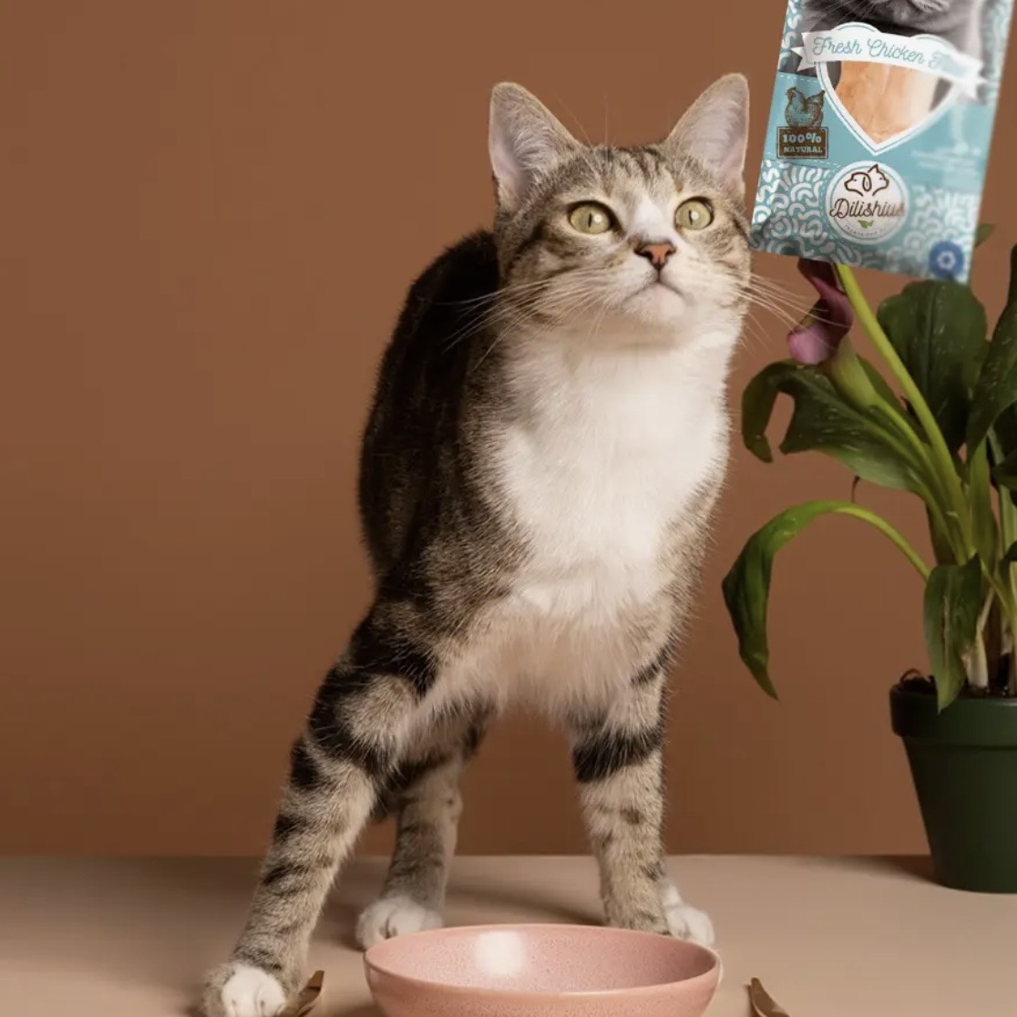 Filet de poulet grillé frais 25g – Image 2