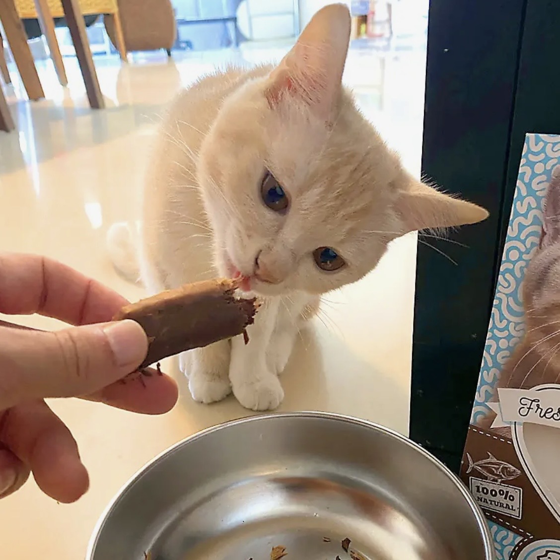 Filet de Thon frais 25g – Image 2