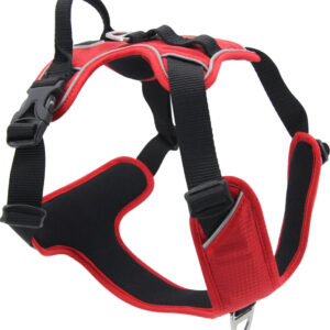 Harnais Jack and Vanilla Expedition