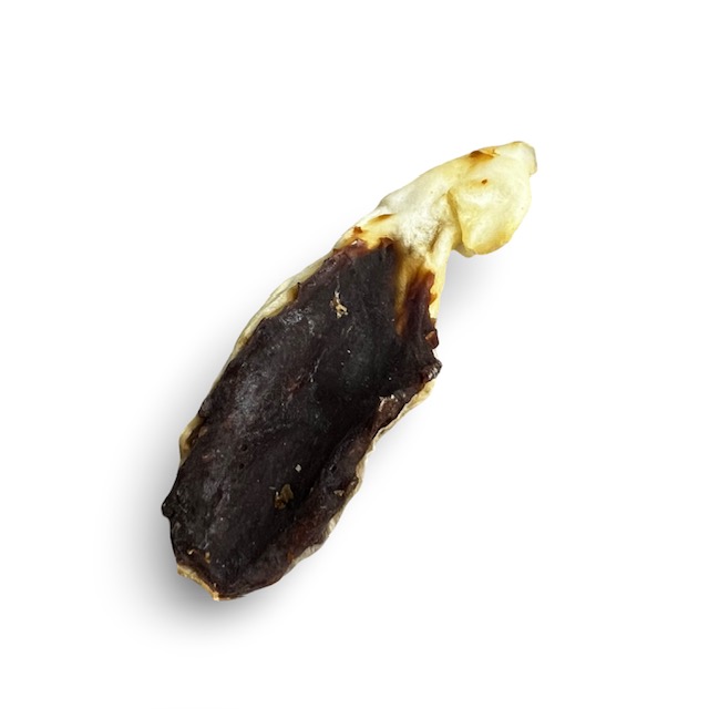 Oreilles de lapin fourrées au canard