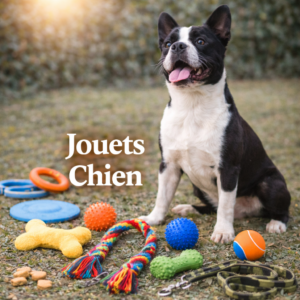 Jouets